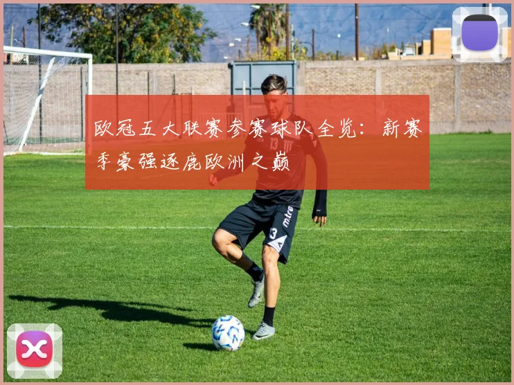 欧冠五大联赛参赛球队全览：新赛季豪强逐鹿欧洲之巅