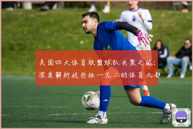 美国四大体育联盟球队共聚之城：深度解析这些独一无二的体育大都会