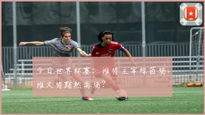 今日世界杯赛:谁将主宰绿茵场,谁又将黯然离场?